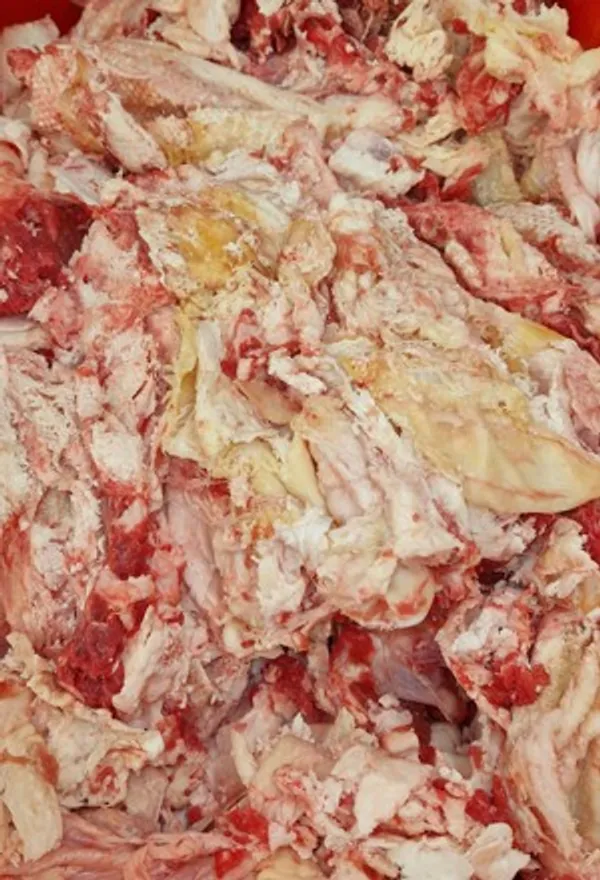Frozen Beef Tendon 2