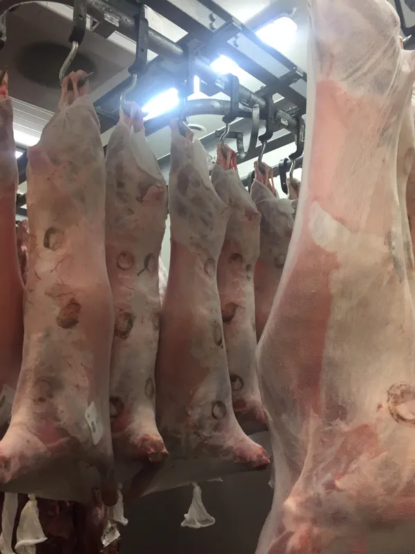 Lamb whole carcass  2