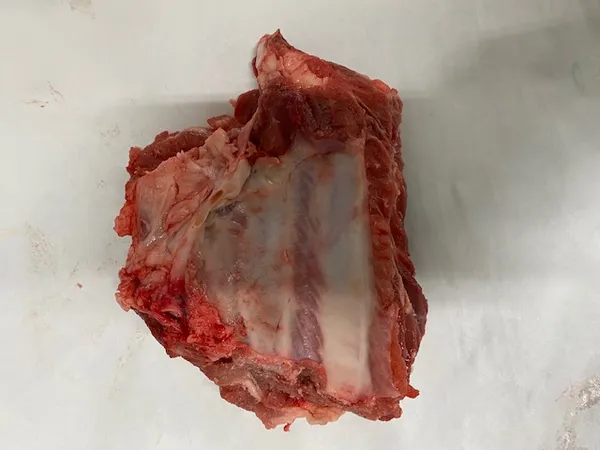Frozen Pork riblets, shaved/semi-meaty/meaty, 20000kg, cartons 2