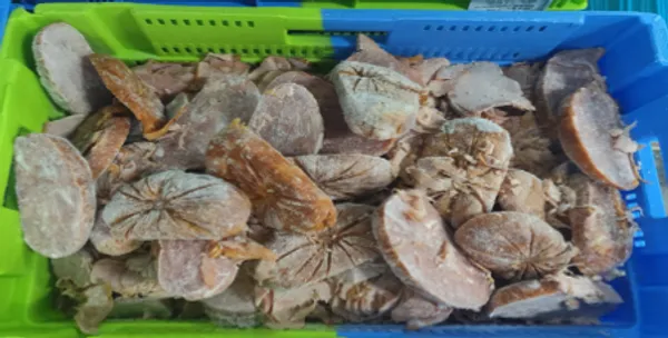 Smoked ham cuttings, bulk 4