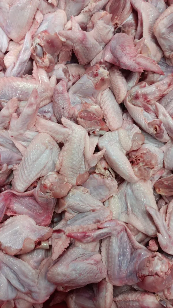 Frozen chicken wings grade B 2