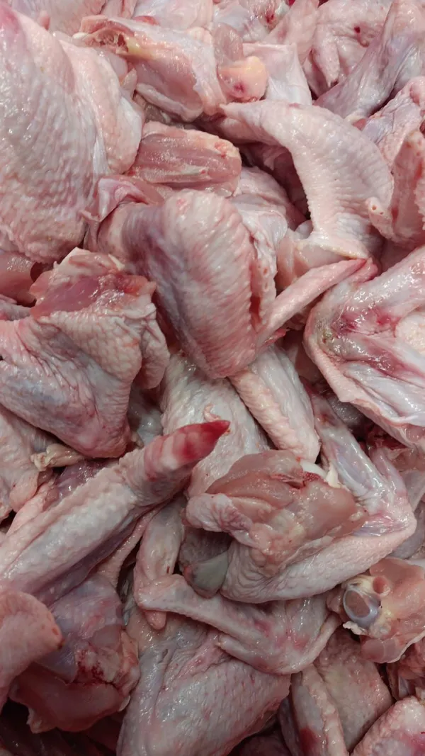 Frozen chicken wings grade B 3