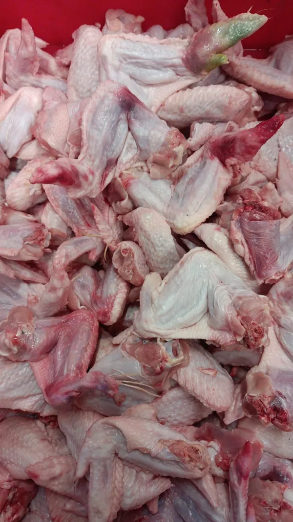 Frozen chicken wings grade B 4