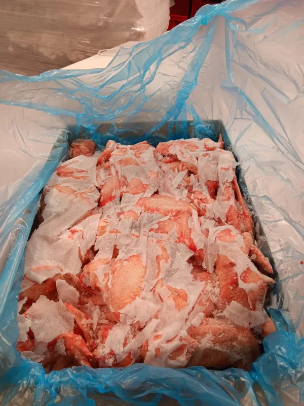 Frozen chicken wings grade B 7
