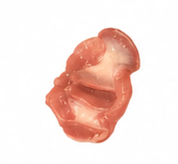 Chicken gizzards