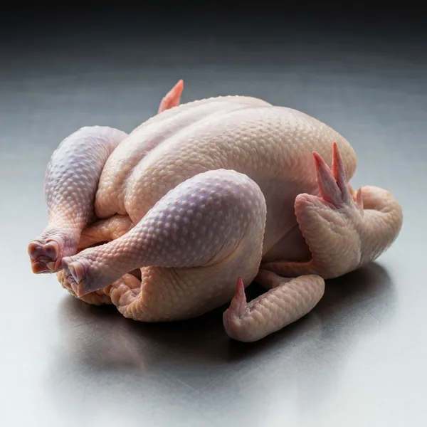 Frozen Halal Whole Chicken & Chicken Parts Supplier 5
