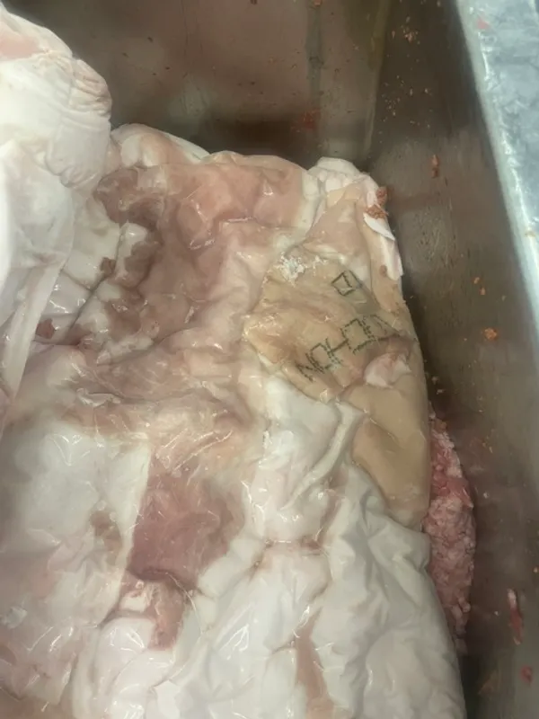 Frozen pork back fat skinless 5