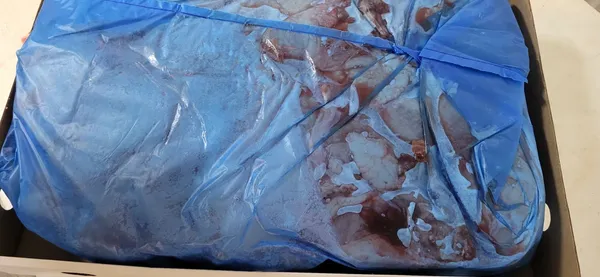 Frozen chicken leg quarters B grade 2
