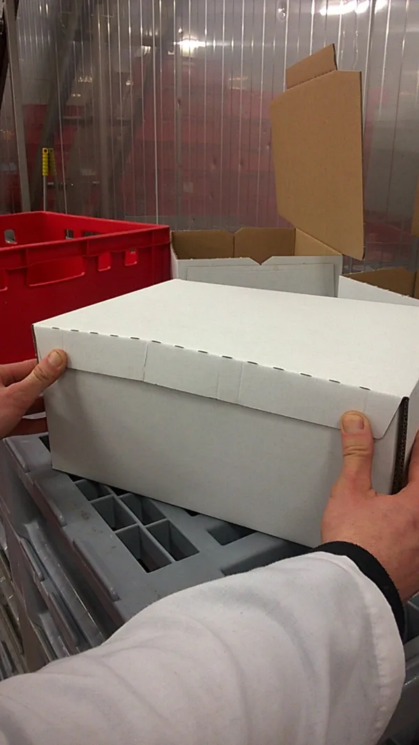 Frozen pork back bones - packaging carton box 10 kg fix weight 2