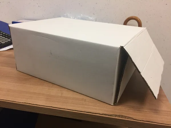 Frozen pork back bones - packaging carton box 10 kg fix weight 6