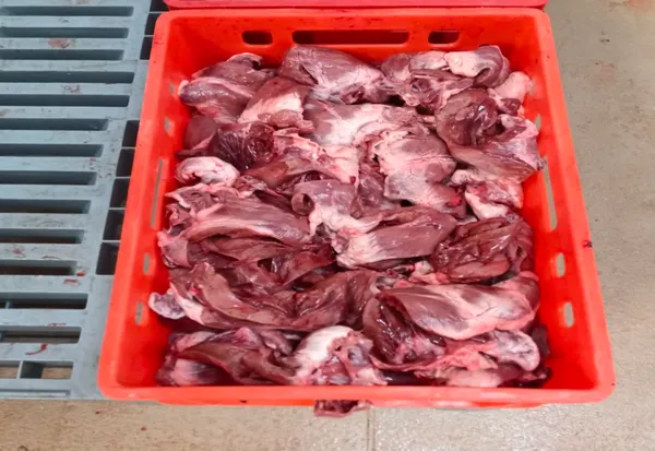 Pork hearts
