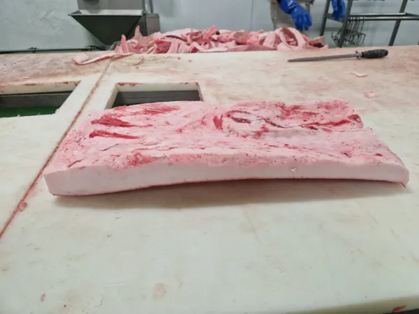 Frozen Iberian Pork Back Fat 3-4cm 6