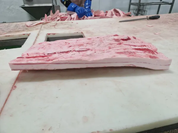 Frozen Iberian Pork Back Fat 3-4cm 7