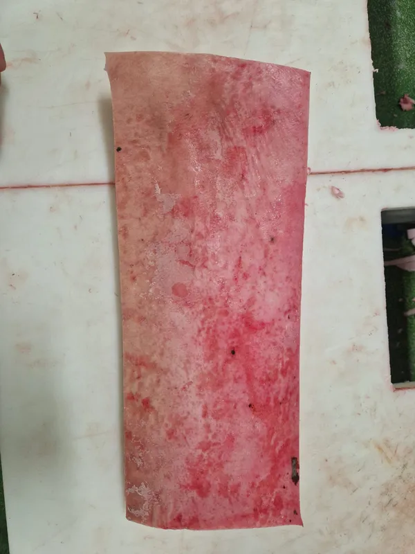 Frozen Iberian Pork Back Fat 3-4cm 9