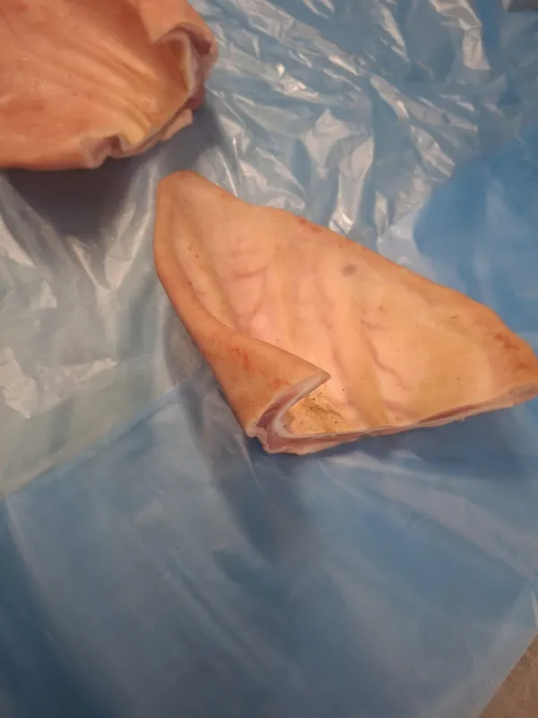 Frozen pork ears flaps, polyblock 3