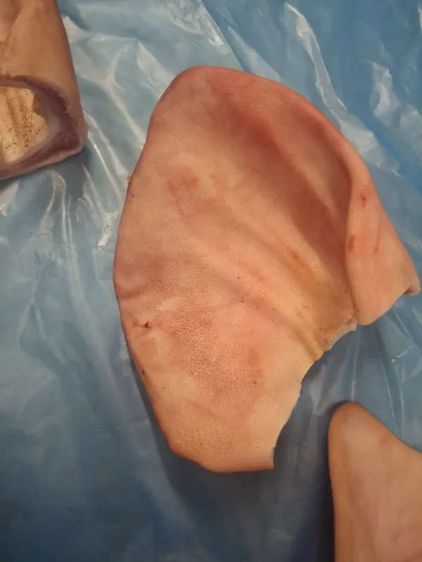 Frozen pork ears flaps, polyblock 4