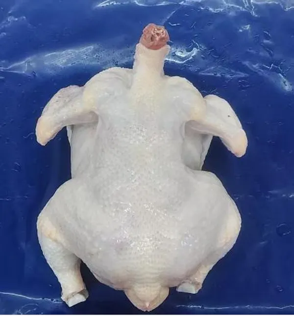 Frozen Chicken Wing Drumettes (1kg×10 bags/ctn)