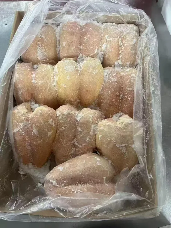 Frozen Chicken Wing Tips (10kg×1 bag/ctn)