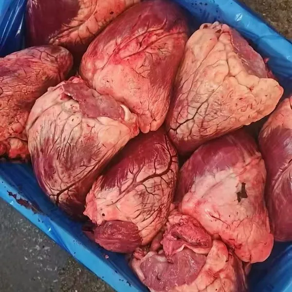 Frozen Beef Hearts 2