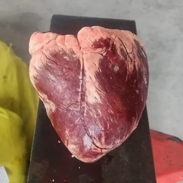 Frozen Beef Hearts 3