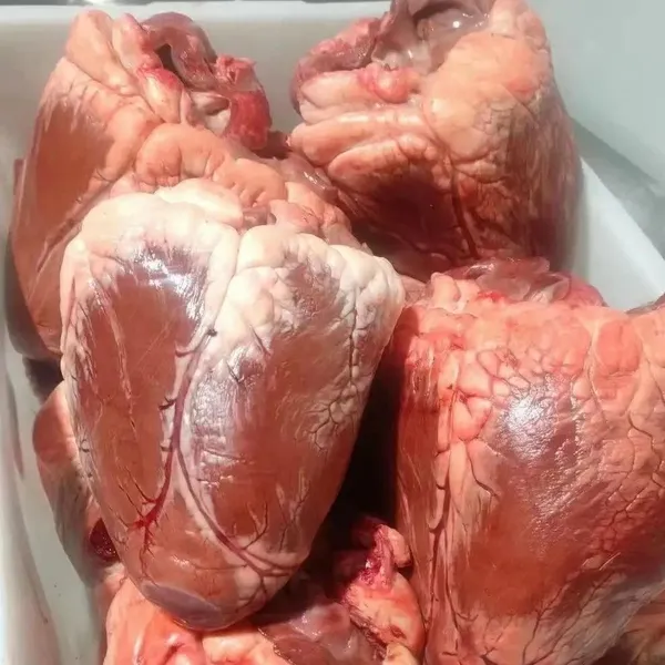 Frozen Beef Hearts 4