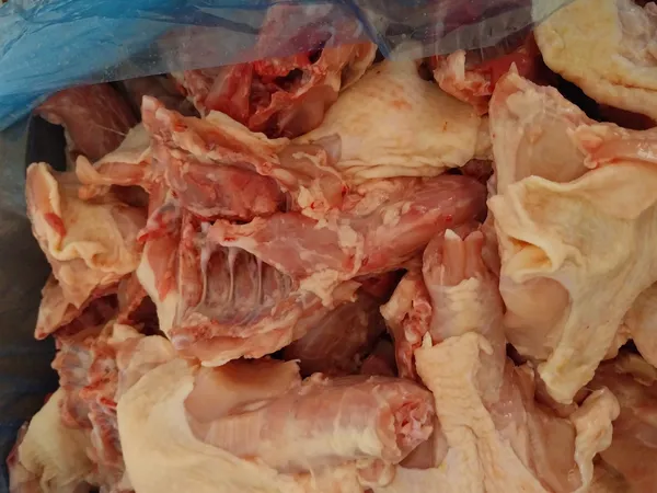 Frozen chicken upper back 4