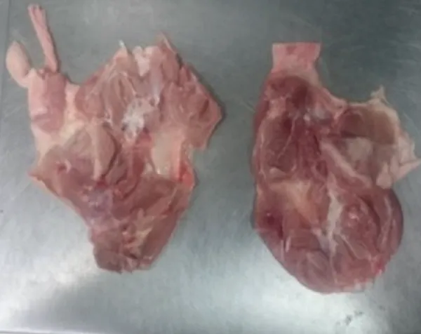 Frozen chicken leg meat