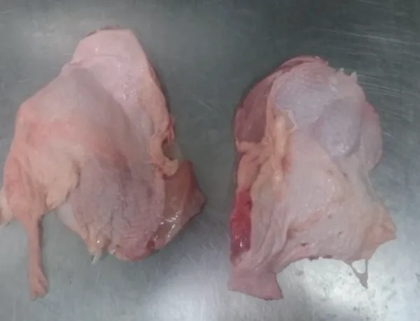 Frozen chicken leg meat 3