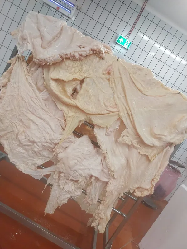 Beef Caul Fat Halal 4