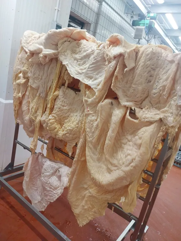 Beef Caul Fat Halal 3
