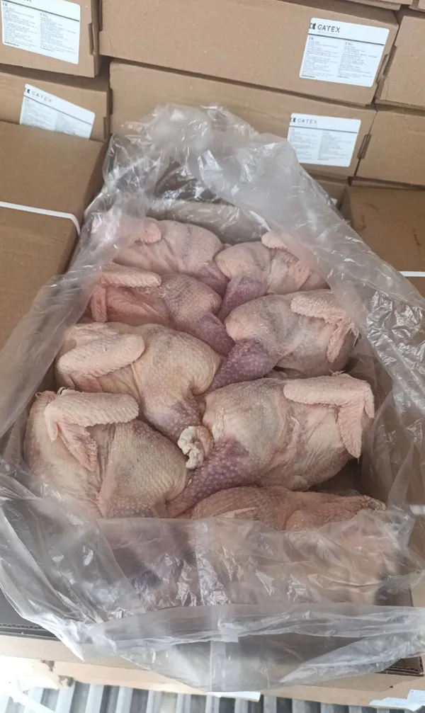 Frozen whole laying hens, average weight 1.1–1.3 kg, packed in 10–15 kg cartons 3