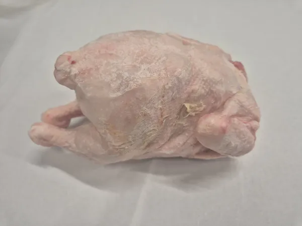 Whole chicken - 900 gr , ivp 10 pieces in carton , production 02.2026 , shelf life 12 months from production data .Possible with Halal certyfication .Price 1,95 eur exw. 5