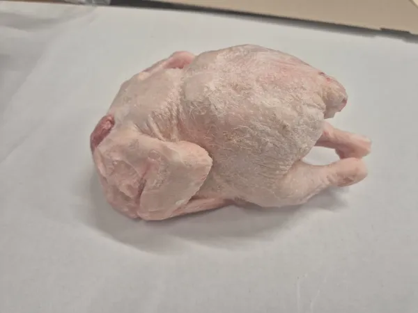 Whole chicken - 900 gr , ivp 10 pieces in carton , production 02.2026 , shelf life 12 months from production data .Possible with Halal certyfication .Price 1,95 eur exw. 6
