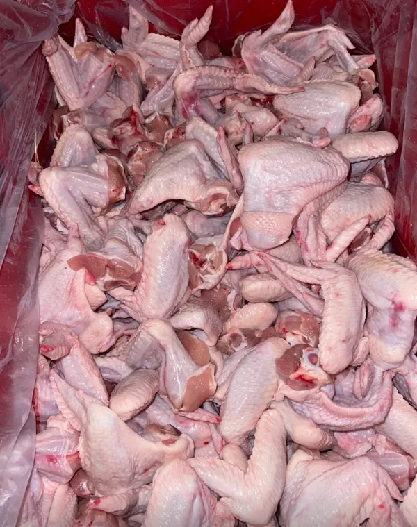 Frozen chicken wings A grade 2
