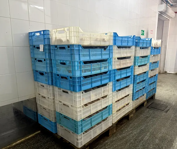 Frozen whole laying hens, average weight 1.1–1.3 kg, packed in 10–15 kg cartons 4