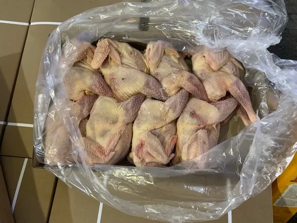 Frozen whole laying hens, average weight 1.1–1.3 kg, packed in 10–15 kg cartons 6