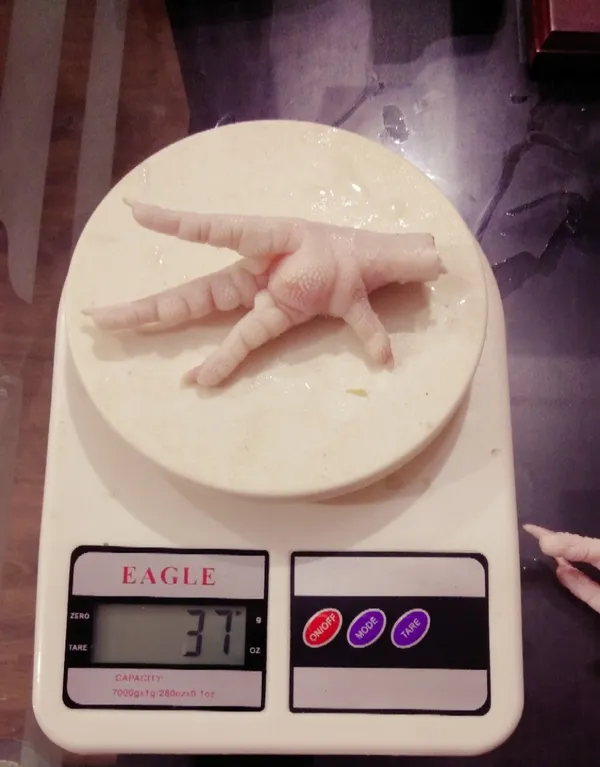Frozen Chicken Paws 2