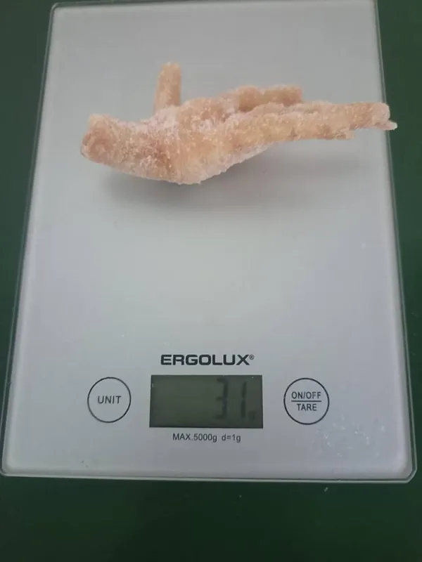 Frozen Chicken Paws 4