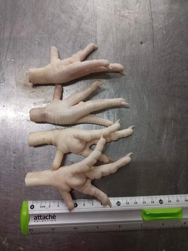 Frozen Chicken Paws 6