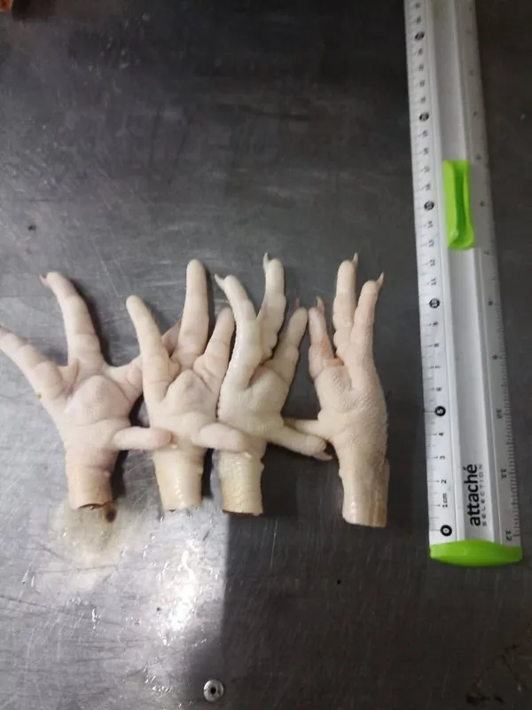 Frozen Chicken Paws 8