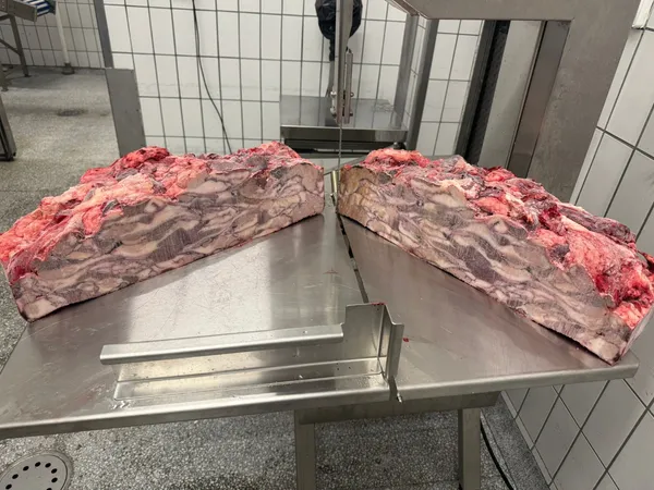 Frozen beef meat IV