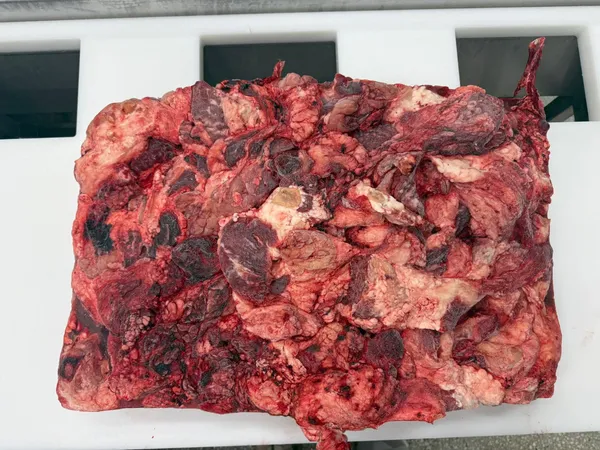 Frozen beef meat IV 2