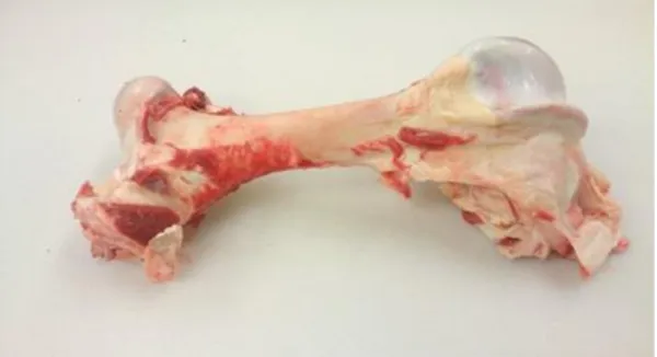 Frozen Australian Beef Mixed Leg Bones - 706 Cartons / 13.52MT 2