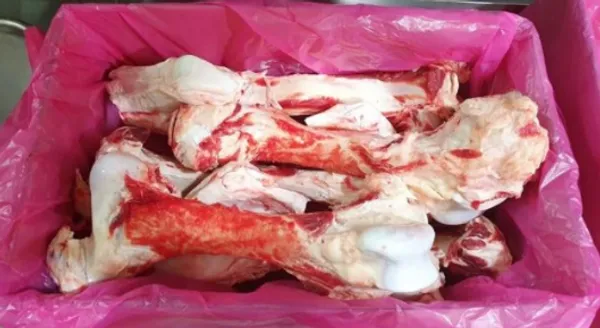 Frozen Australian Beef Mixed Leg Bones - 706 Cartons / 13.52MT 4