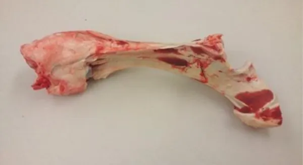 Frozen Australian Beef Mixed Leg Bones - 706 Cartons / 13.52MT 6