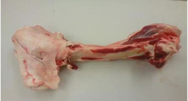 Frozen Australian Beef Mixed Leg Bones - 706 Cartons / 13.52MT 7