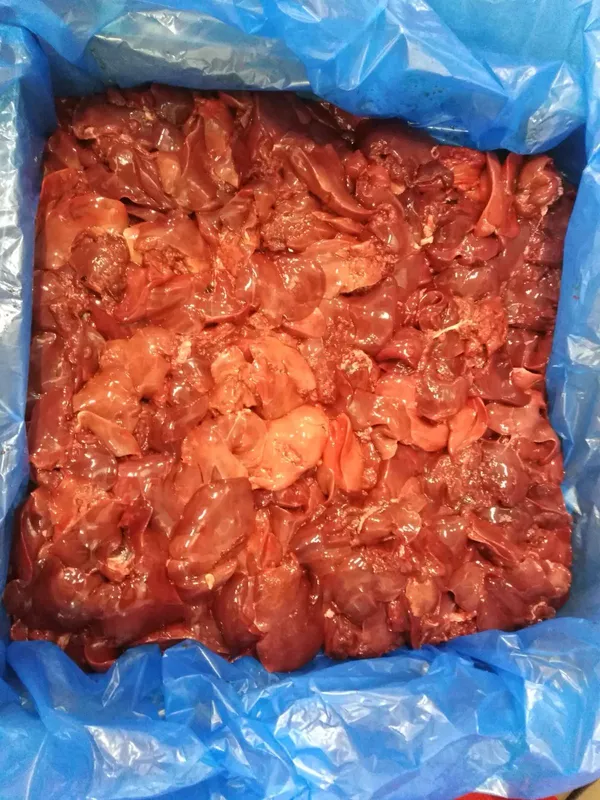 Frozen chicken liver, naked block, Poland 4