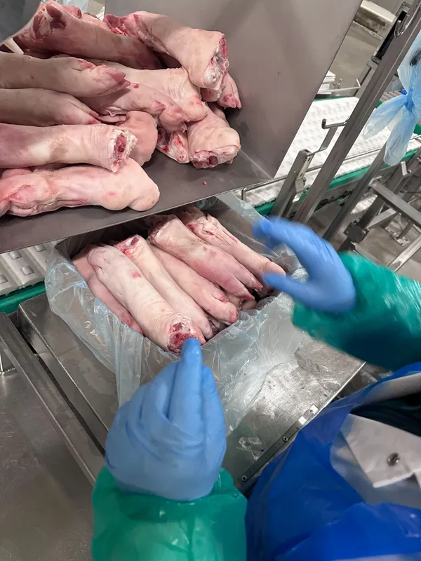 Pork Hind Feet - Frozen 5