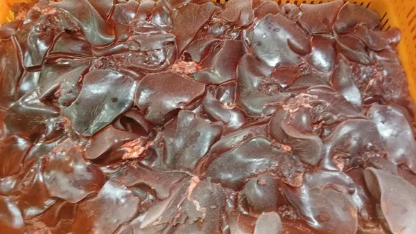 Frozen turkey liver, naked block 2