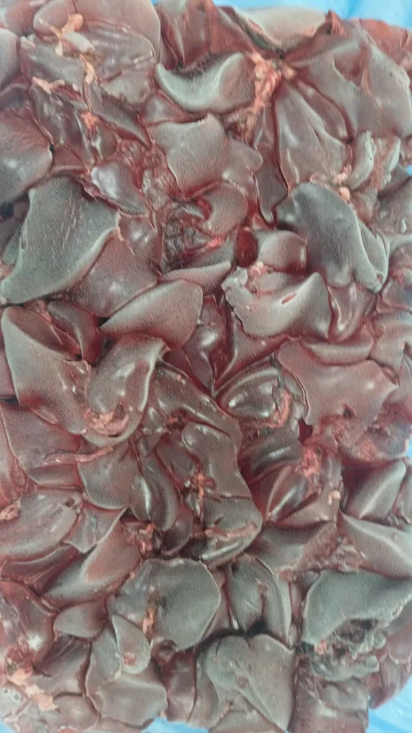 Frozen turkey liver, naked block 4